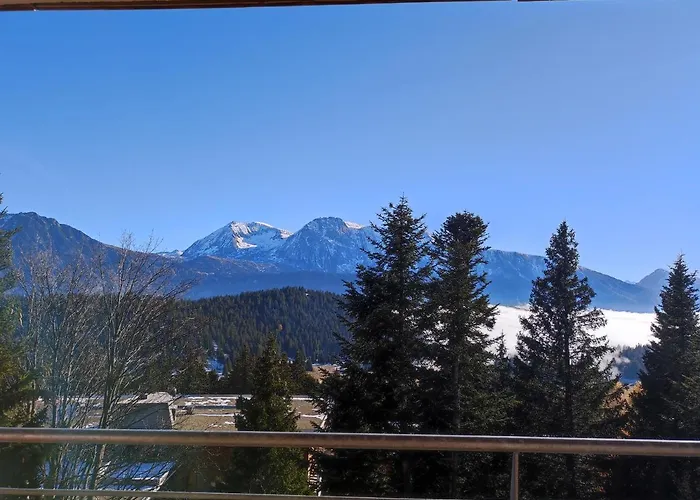 1700 - Les Villages Du Bachat - Arolles D21 - Classé 3 étoiles Chamrousse